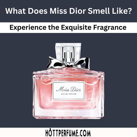 miss dior edp fragrantica|what does Miss Dior smell like.